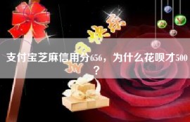 支付宝芝麻信用分656，为什么花呗才500？