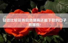 征信比较花而且负债高还能下款的口子有哪些?