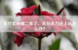 支付宝逾期二年了，实在无力还上该怎么办？