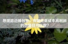 想摆路边摊创业，有哪些低成本高利润的小项目可以做？