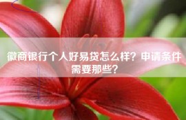 徽商银行个人好易贷怎么样？申请条件需要那些？