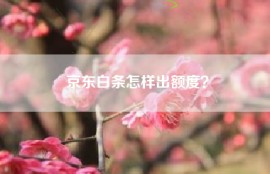 京东白条怎样出额度？