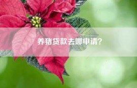 养猪贷款去哪申请？