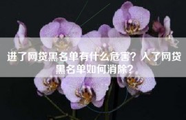 进了网贷黑名单有什么危害？入了网贷黑名单如何消除？