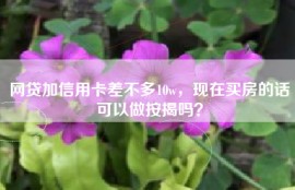 网贷加信用卡差不多10w，现在买房的话可以做按揭吗？