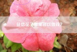 征信花了哪里可以借钱？