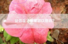 征信花了哪里可以借钱？