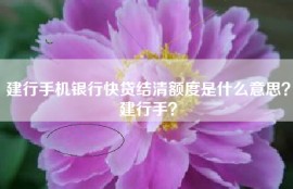 建行手机银行快贷结清额度是什么意思？建行手？