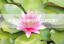 哪些平台消费付款可以用花呗？