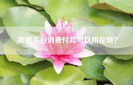 哪些平台消费付款可以用花呗？