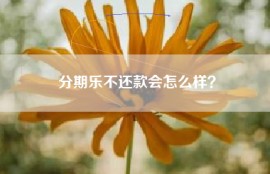 分期乐不还款会怎么样？