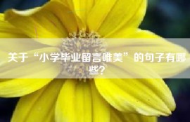 关于“小学毕业留言唯美”的句子有哪些？