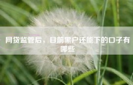 网贷监管后，目前黑户还能下的口子有哪些