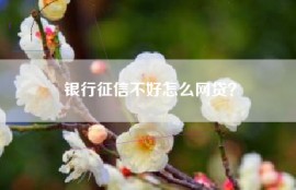 银行征信不好怎么网贷？