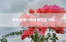 平安普惠36期提前还款步骤