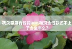 我欠百度有钱花50000,和现金借款还不上了会坐牢么？