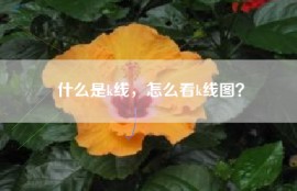 什么是k线，怎么看k线图？