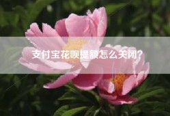 支付宝花呗提额怎么关闭？