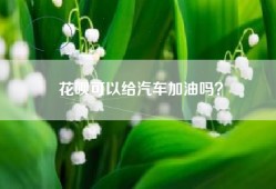 花呗可以给汽车加油吗？