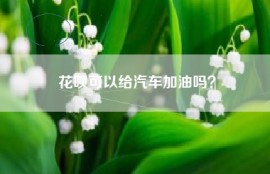 花呗可以给汽车加油吗？