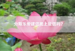 分期乐爱建信托上征信吗？