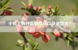 手机上有什么软件可以快速借钱？