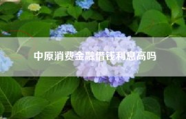 中原消费金融借钱利息高吗