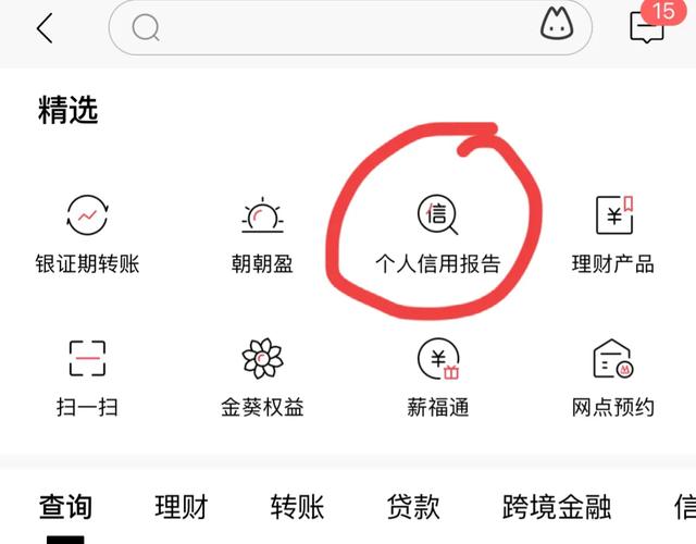 征信怎么查。怀疑儿子网络赌博，怎么查他的征信？