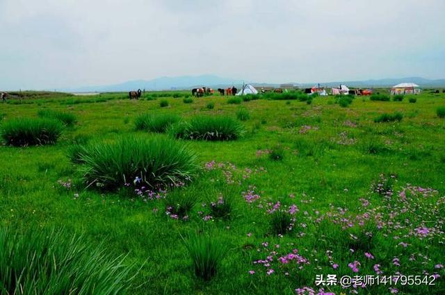 夏天有什么值得去的旅游景点？