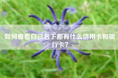 如何查看自己名下都有什么信用卡和银行卡？