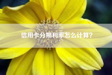 信用卡分期利率怎么计算？