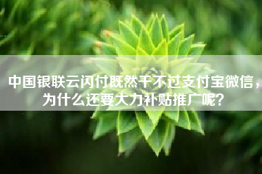 中国银联云闪付既然干不过支付宝微信，为什么还要大力补贴推广呢？