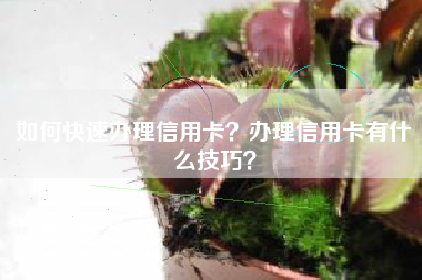 如何快速办理信用卡？办理信用卡有什么技巧？