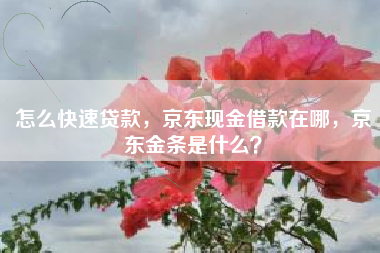 怎么快速贷款，京东现金借款在哪，京东金条是什么？