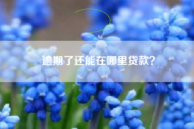 逾期了还能在哪里贷款？