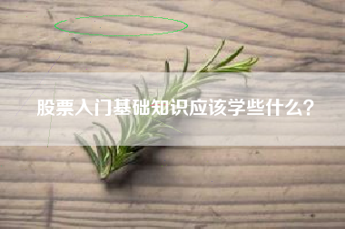 股票入门基础知识应该学些什么？