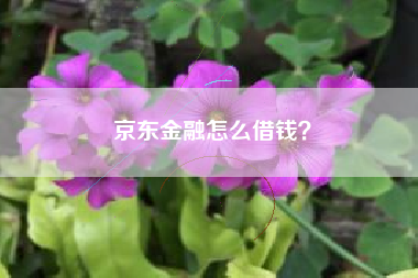 京东金融怎么借钱？