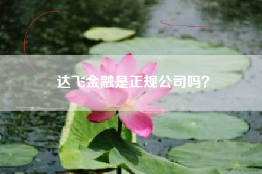 达飞金融是正规公司吗？