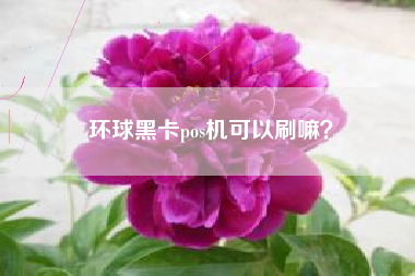 环球黑卡pos机可以刷嘛？