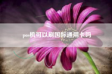 pos机可以刷国际通用卡吗