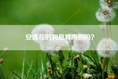 安逸花的利息算高的吗？