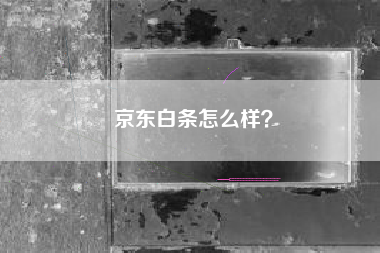 京东白条怎么样？