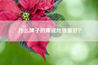 什么牌子的集成灶质量好？