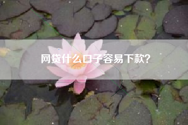 网贷什么口子容易下款？