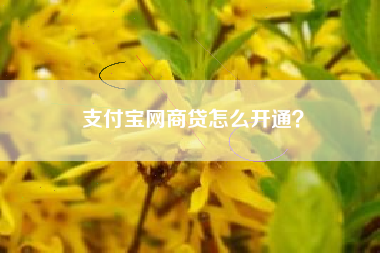 支付宝网商贷怎么开通？