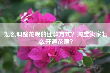 怎么调整花呗的还款方式？淘宝卖家怎么开通花呗？