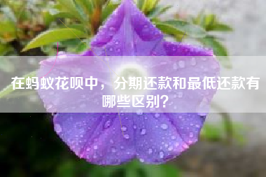 在蚂蚁花呗中，分期还款和最低还款有哪些区别？