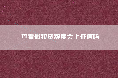 查看微粒贷额度会上征信吗