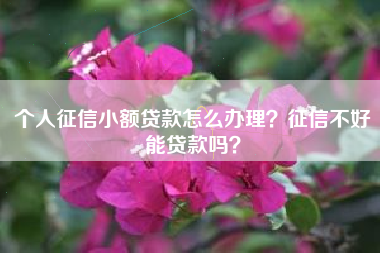 个人征信小额贷款怎么办理？征信不好能贷款吗？