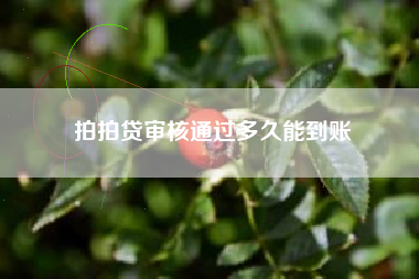 拍拍贷审核通过多久能到账